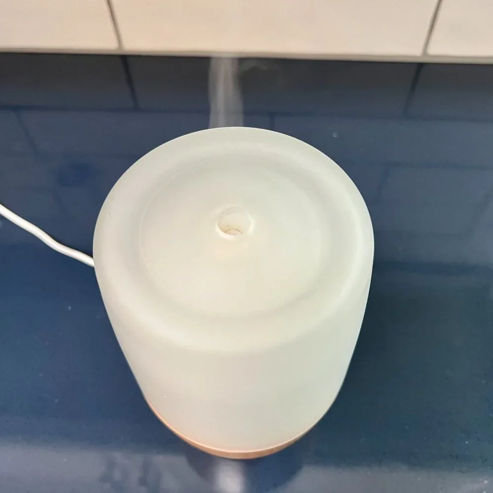 Nature's Stress Reliever! Relaxing Color Changing Homedics Diffuser